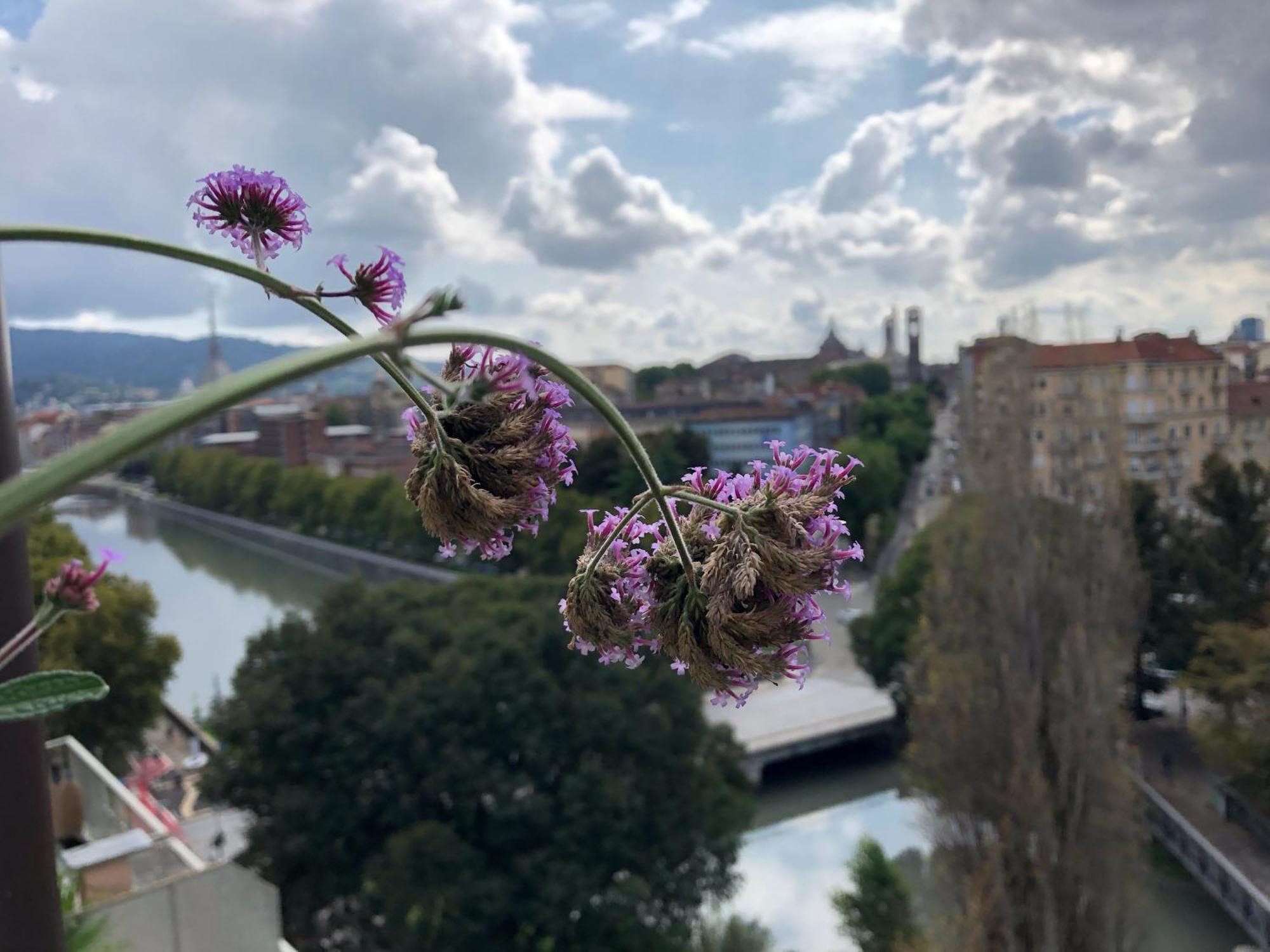 Apartmán Attico Ellen Terrazza Con Vista Turín Exteriér fotografie
