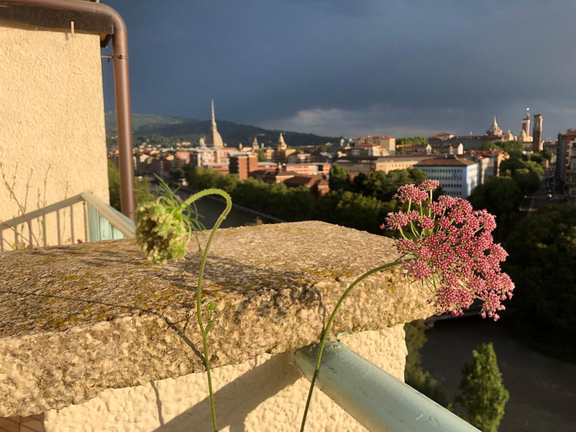 Apartmán Attico Ellen Terrazza Con Vista Turín Exteriér fotografie