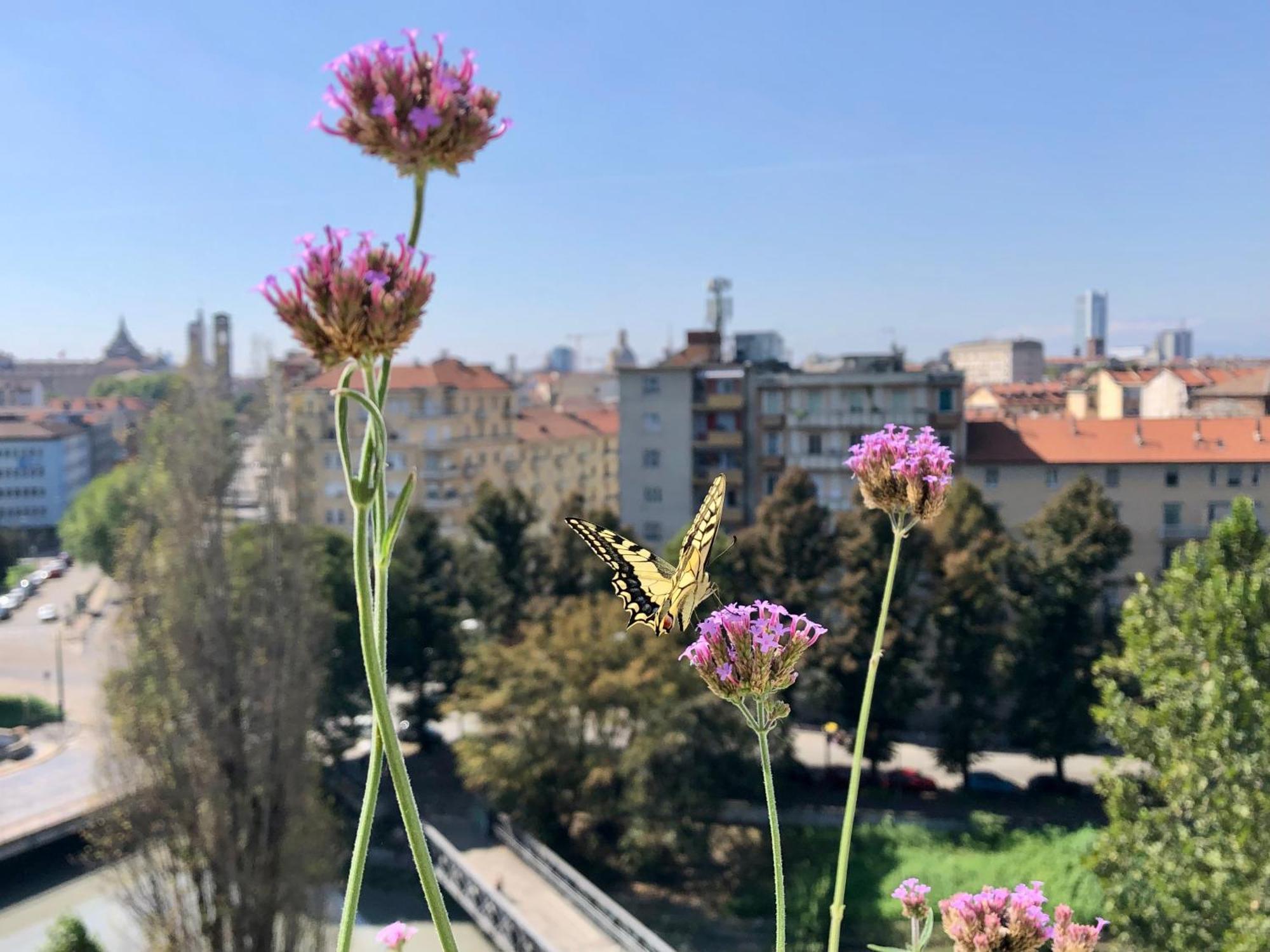 Apartmán Attico Ellen Terrazza Con Vista Turín Exteriér fotografie